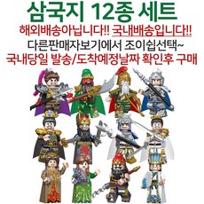 레고커스텀피규어플레인