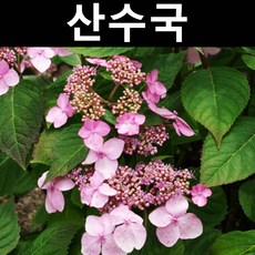 cd2e146e55a7c1974b99627d96884aff47e9dbeeda80ee3f1697f64c33bd.jpg