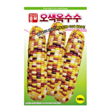 오색옥수수