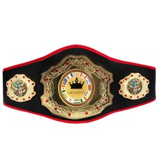wwe챔피언벨트