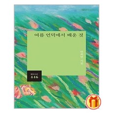 여름언덕에서배운것