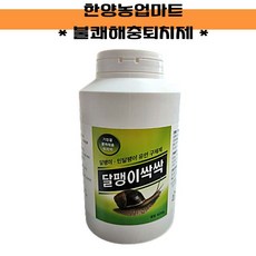 충무띠달팽이