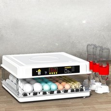 유정란부화 병아리 부화기 미니메추리 알 달걀 스마트 자동회전 인큐베이터, 화이트 자동9개, 1개