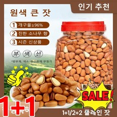 1/1+1 [인기 아이템] 백년 수령 홍송 잣 내추럴 소나무 향 볼륨한 잣 개구율96%/ 진한 소나무 향/시즌 신상품, 250g/캔*1, 250g, 2개