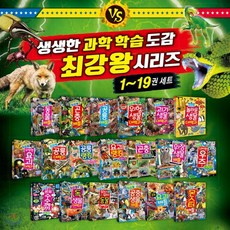 최강왕시리즈