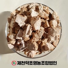 소나무뿌리
