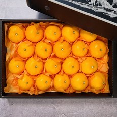 매료 제주 천혜향 설 선물세트 명절특품, 1세트, 대과 4.5kg