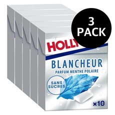 할리우드 폴라민트향 츄잉껌 HOLLYWOOD menthe polaire Chewing gum, 70g, 3개