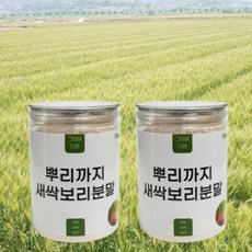 제주 뿌리까지 새싹보리 분말가루 1+1, 2개, 200g