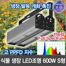 스펙트럼라이팅