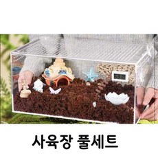 현우상점 코코넛크랩분양 소라게 코코넛크랩 사육장세트, 1개, 정글위스퍼 +대형케이스(큰크기)set