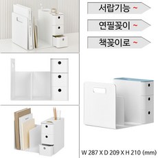 카리스2단교구장