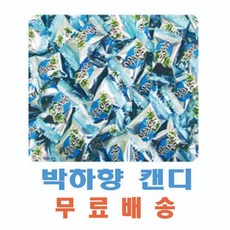 CANDY 박하사탕 사탕 모음 업소용사탕 캔디 모음 4kg, 1개