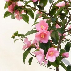 5fb6dbabc1ad3b3dccae5e5eea691b4ae8e7a84955e8d0256402ef1e4c23.jpg