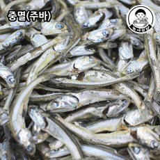 삼천포멸치