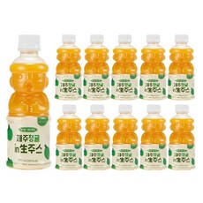 제주청귤 착즙주스 제주인생주스, 8개, 320ml