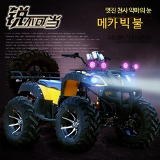 150-250CC ATV 오토바이 바이크 4륜 사륜 산악 비치 해변 오프로드 가솔린 카트 농부 자동차, 125CC 럭셔리