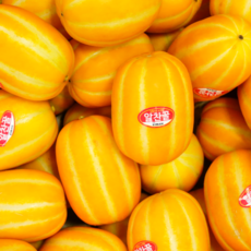 당도선별 가정용 성주참외, 1박스, 랜덤과 2kg