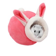 rodent