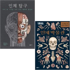 인체팝업북