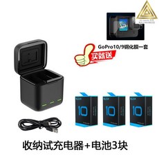 고프로10듀얼배터리