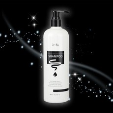 [잇퓨] 블랙업 샴푸 새치 흰머리 갈변 염색샴푸 새치커버, 2개, 480ml