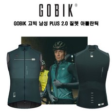 고빅질렛