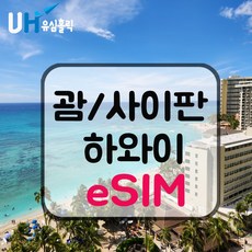 eSIM 하와이 괌 사이판 이심 e심 유심 태교여행 신혼여행 무제한 데이터, e심 데일리 플랜, 매일 2GB, 15일