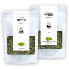 1+1 반듯한청년 페퍼민트 티 100g 2봉 리필팩 원물 차, 2개입, 1개 1개, 2개