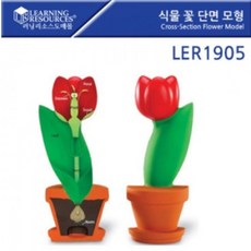 러닝리소스플라워