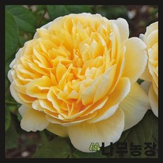 15437f9499652bde564aab9d383d390b53151d422b17deae365c92b2df1f.jpg