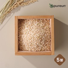 삼시세끼 오분도미 삼광 특등급 1kg x 5봉, 단품, 단품