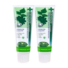 덴티스테 플러스 화이트 치약 튜브형, 60g, 2개