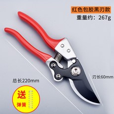 민법강의지원림