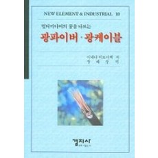 광단자변환