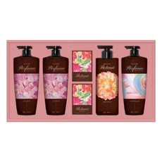 LG선물세트 정성담은 샴푸&바디세트 프리미엄 명절선물세트, 1개