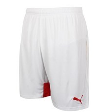 아스날레플리카