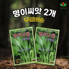 [씨드코리아] 명이나물 씨앗 산마늘 종자씨 소독필 2개, 1개