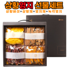 [선물세트] 무농약으로 재배한 한살림 상황 영지 버섯모음, 1세트, 260g