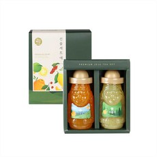 제주앤팜 예세트 차선물세트 2종세트 총 620g(풋귤+한라봉)