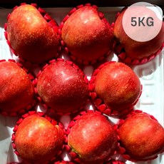 셀링크 경북 홍로사과 프리미엄 과일선물세트 5kg, 셀링크 옵션3.홍로사과 정품선물세트 특대 5kg, 1개