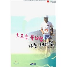 물속을나는새