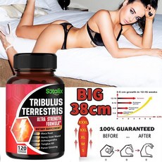Tribulus terrestris 캡슐 - 매우 강력한 포뮬러로 성욕을 촉진하고 발기 기능을 개선하며 성교 시간을 연장하고 근육 기능을 강화하며 성기능을 위한 천연 보충제입니다., 1박스, 120정