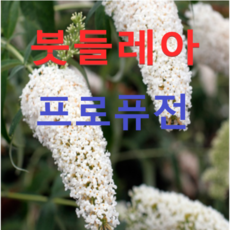 825c6c6e2b72744cbb7ac02cd71d056cd6316ef437f962762e14be804933.png