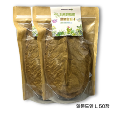 베타 알몬드잎 아몬드잎 대용량 50장, 120g, 1개