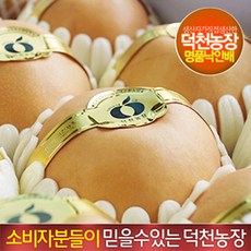 [배실배실] 며느리가 팔아주는 덕천농장 선물용 낙안배 순천배 15kg(24~26과), 1박스