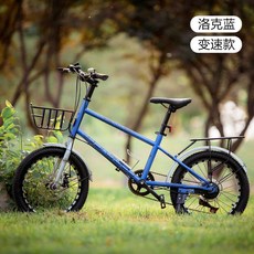 비싼자전거