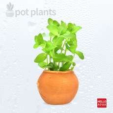 760854fc72400739c3f53b75ae42768e0e93ba3d554cd1f8c57e46752ebc.jpg