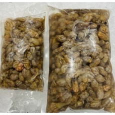 국내산 산지직송 생물 오만둥이 오만디 미더덕 1kg 2kg 5kg, 1개, 5kg(생물)