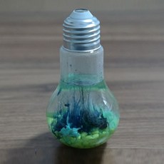 화학정원만들기